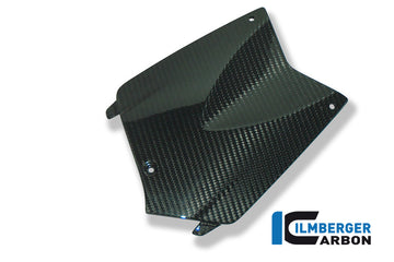 Ilmberger Carbon Fibre Battery Cover for BMW K1300R 2008-22